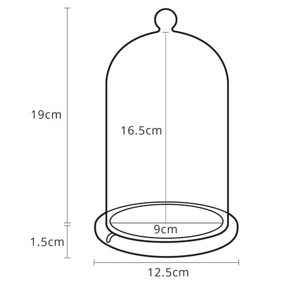 NWOT Glass Cloche Bell Jar Display Dome With Wooden Base - Picture 7 of 7